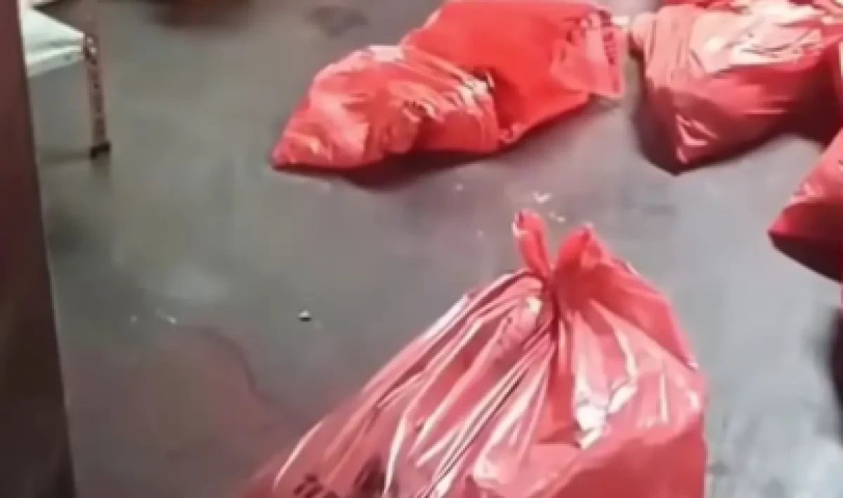 ABB’den Karataş Hayvan Bakımevi Açıklaması: “Köpeklerin Öldürüldüğü İddiaları Gerçeği Yansıtmıyor”