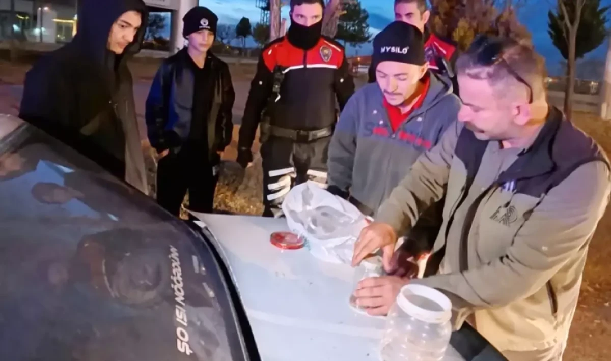 Aksaray’da Yasa Dışı Sarı Akrep Satışı Operasyonu