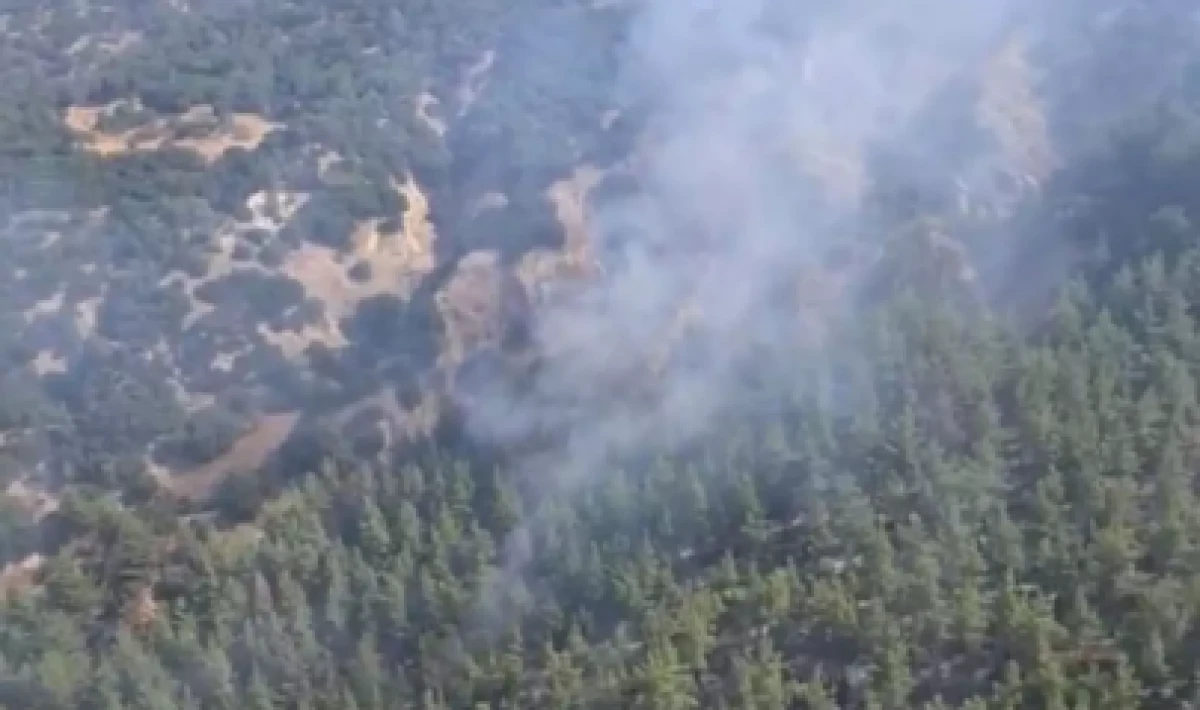 Aydın ve Denizli’deki orman yangını 3’üncü gününde: Alevlerle mücadele sürüyor