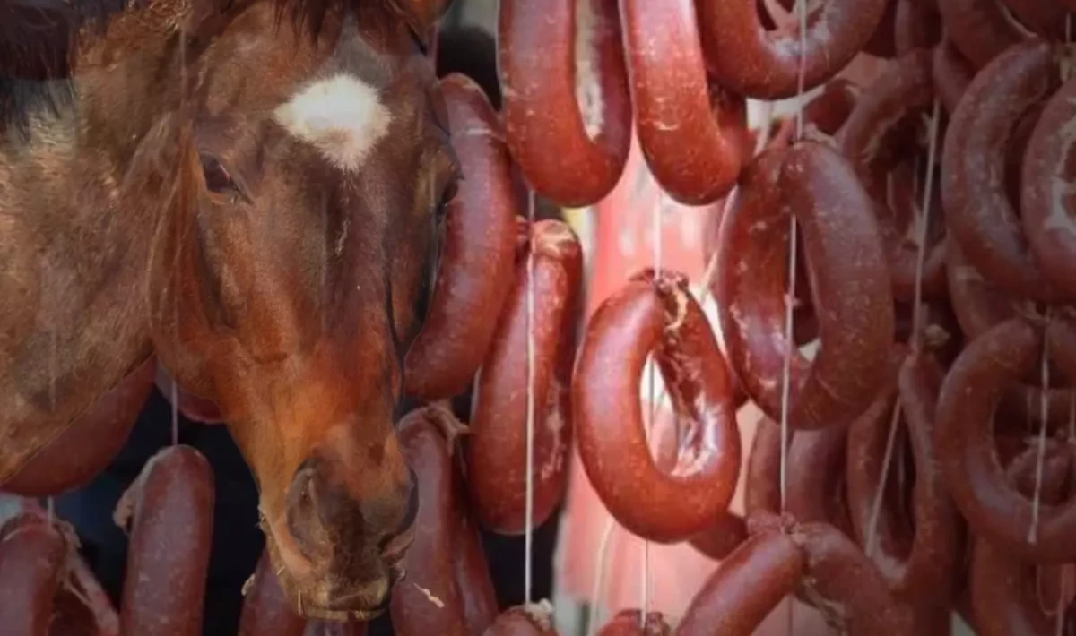 Bakanlık İfşa Etti: İzmir’de Dana Sucukta Tek Tırnaklı Et Skandalı