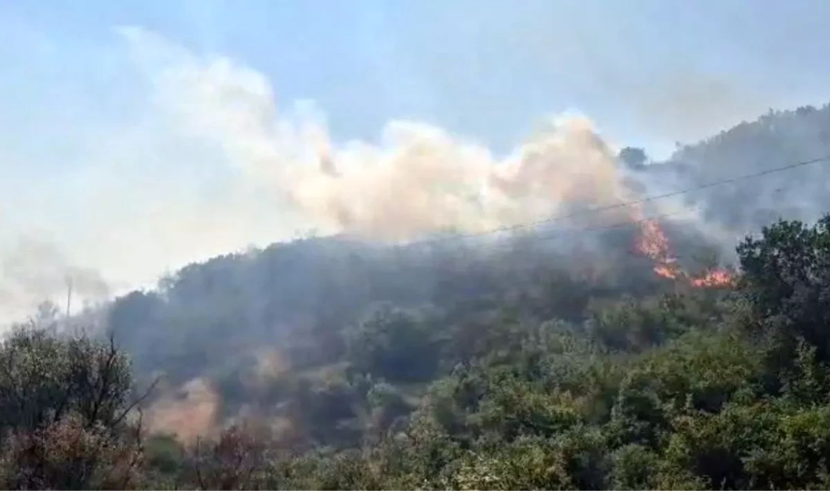 Balıkesir’de Korkutan Yangın! Otluk ve Makilik Alan Alevlere Teslim Oldu