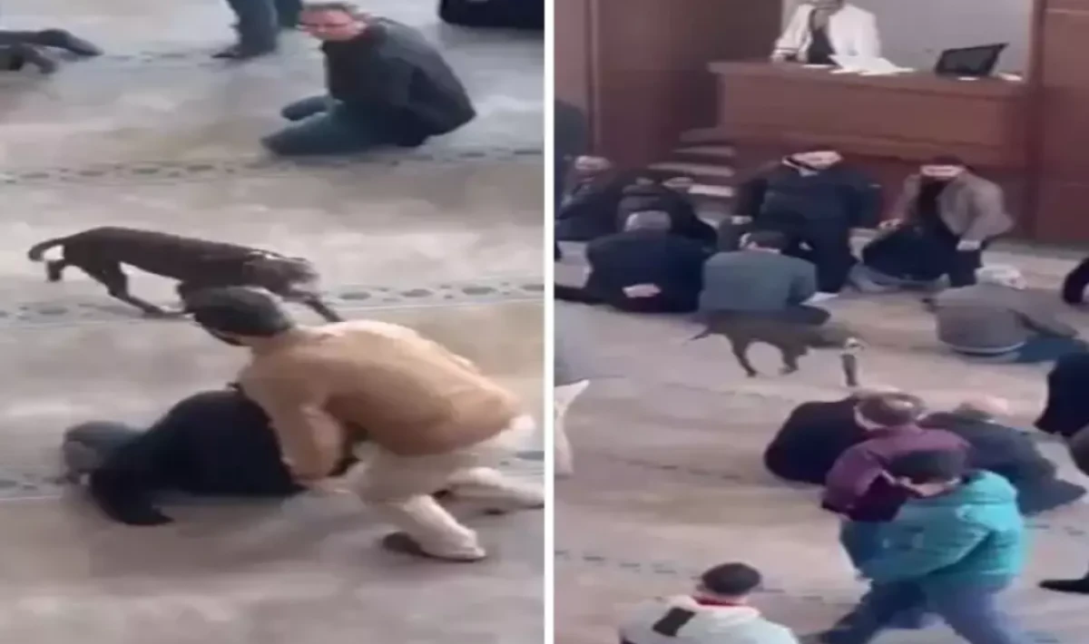 Camiye Giren Pitbull Paniğe Neden Oldu: Sahibine Adli ve İdari İşlem