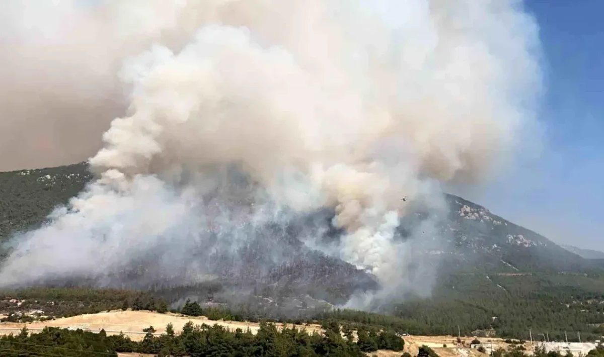 Denizli’de Çıkan Orman Yangınına Acil Müdahale