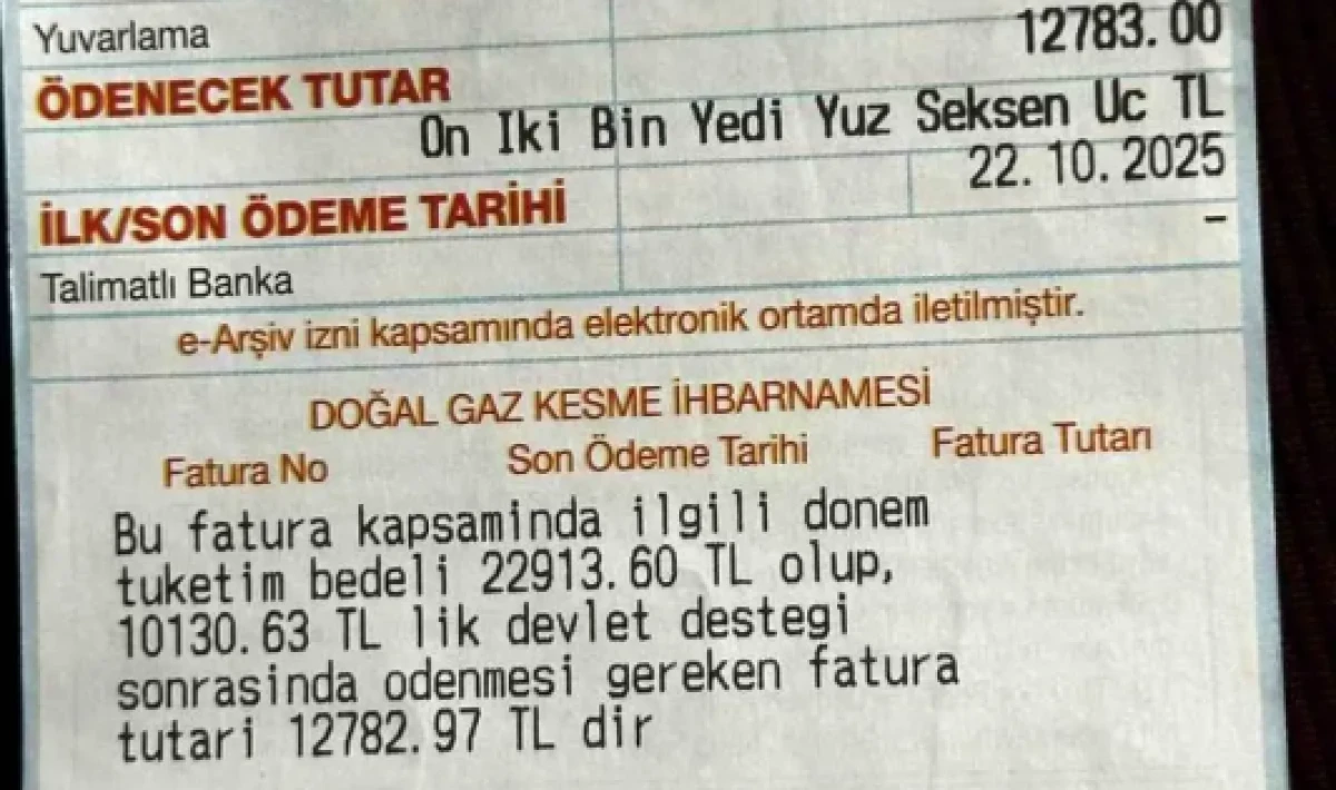 Doğalgaz Faturası Şoku! Gelen Ücret Dudak Uçuklattı