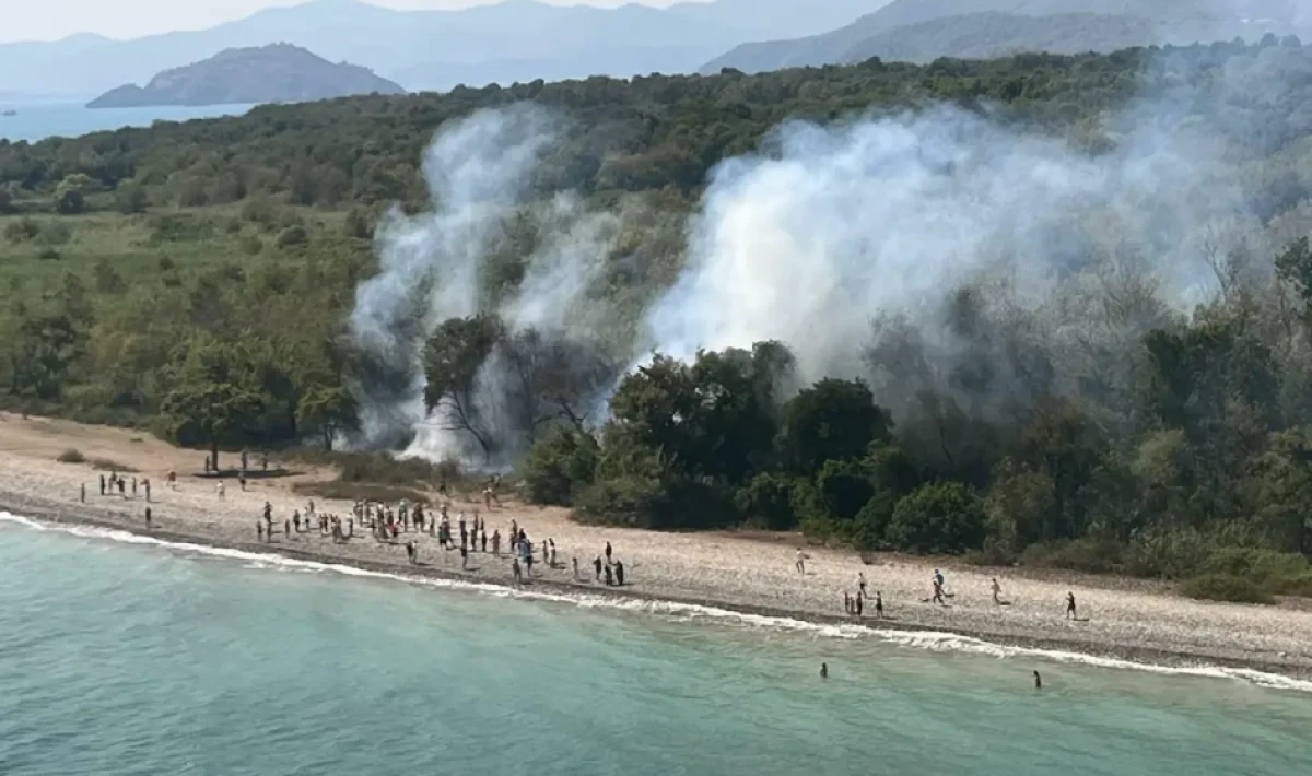 Fethiye'de Orman Yangını 1,5 Saatte Kontrol Altında