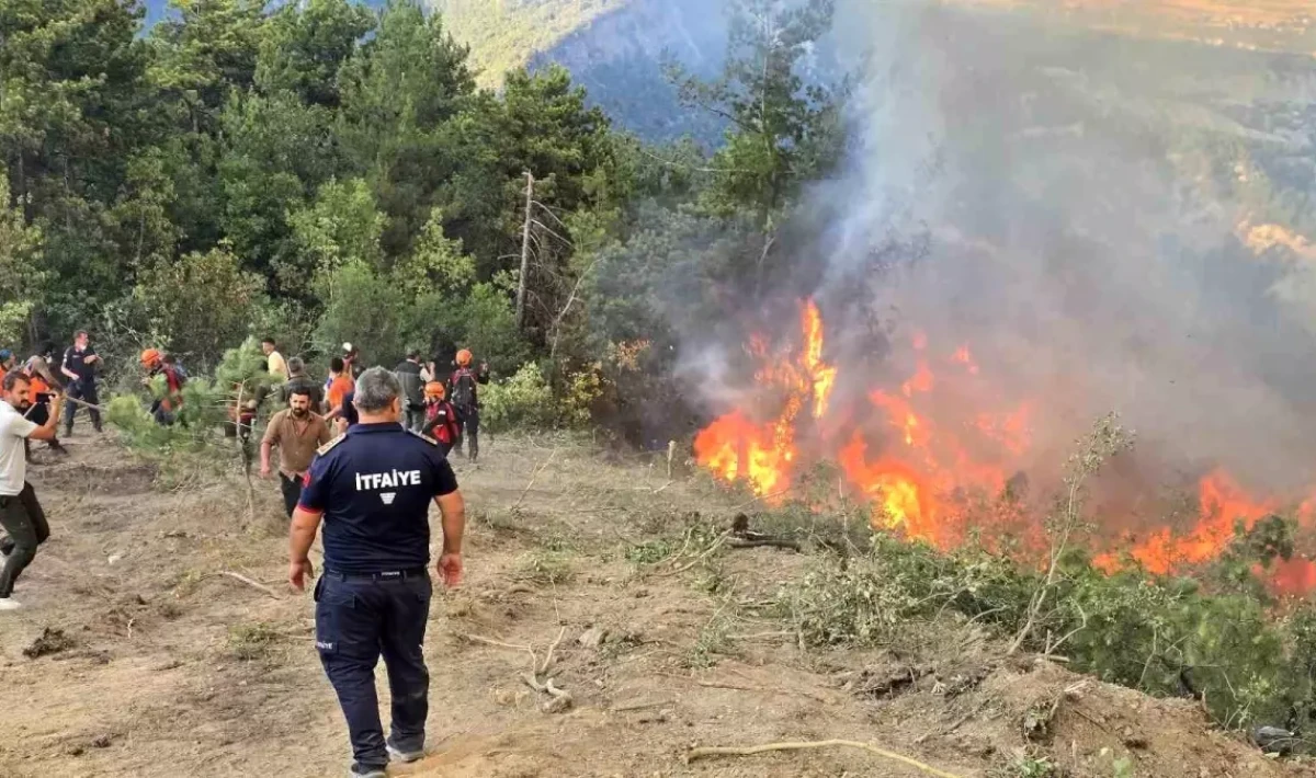 Karabük'te Orman Yangını Alarmı: Alevlere Karşı Zamana Karşı Yarış!