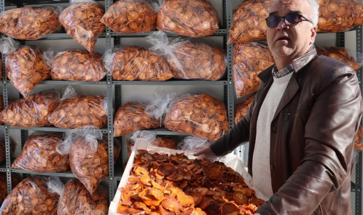 Köyde kurulan tesisle Kozan hurması Almanya yolunda