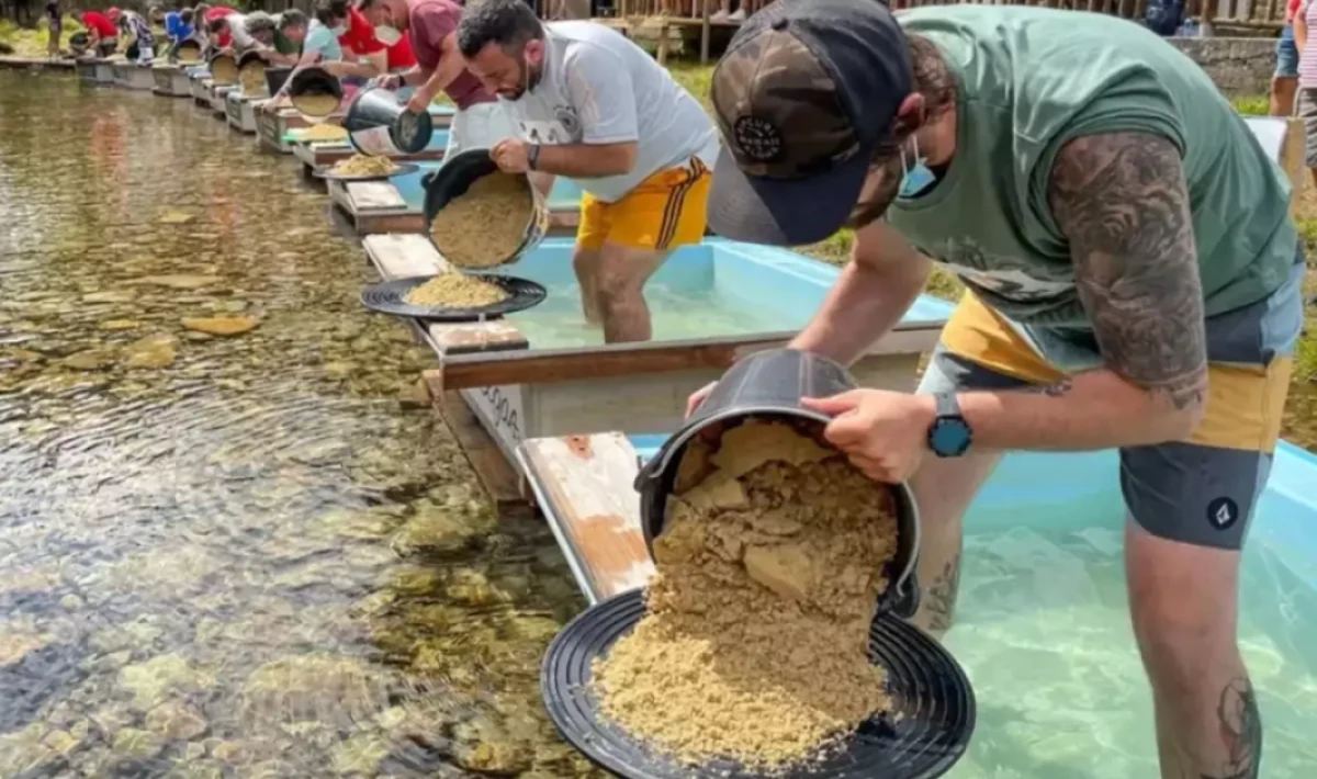Nehir yatağında ortaya çıkıyor, eline tavasını alan avuç avuç topluyor