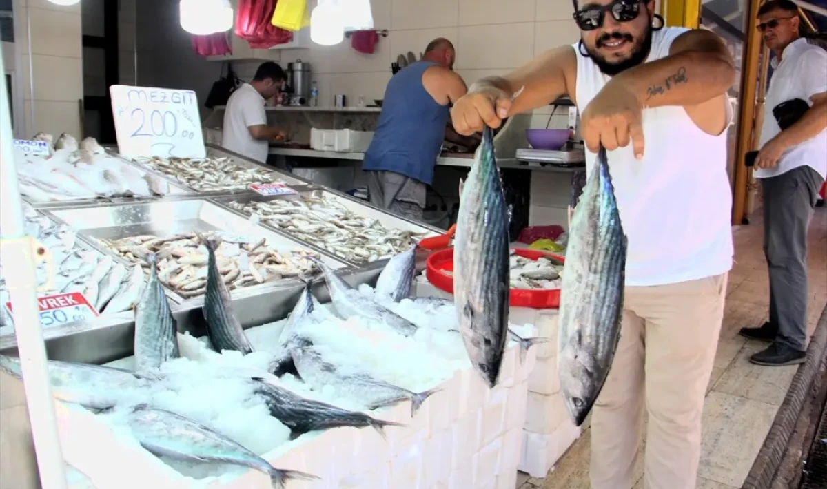 Sinop Boğazı’nda Torik Bereketi: Balıkçılar Bu Sezon 650 Kasa Yakalayıp Sevindi