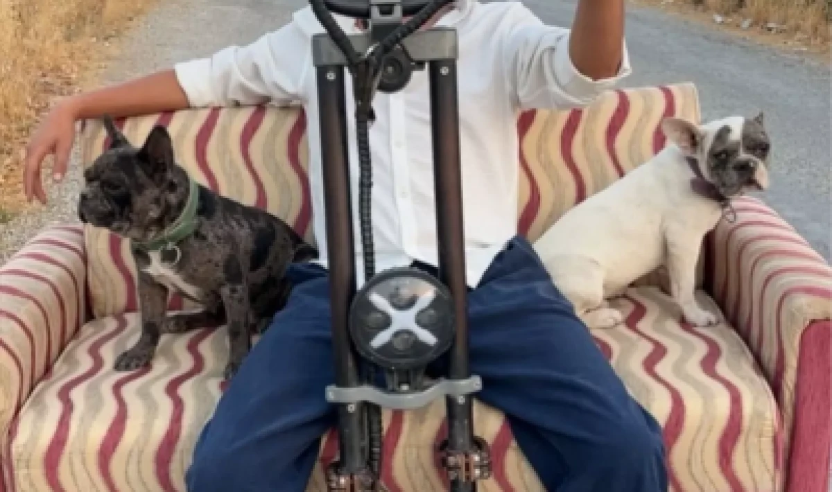Sosyal Medyanın Yeni Fenomeni: Skuterle Köpek Keyfi!