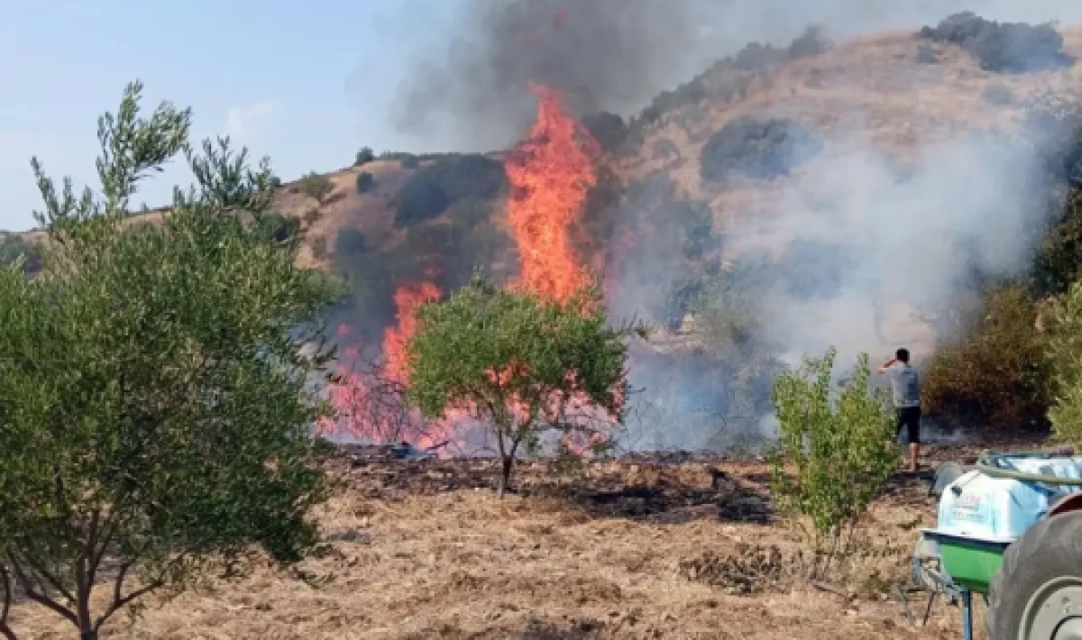 Turgutlu'da Alev Alarmı! Köylüler Traktörleriyle Seferber Oldu, Yangın Kontrol Altında!